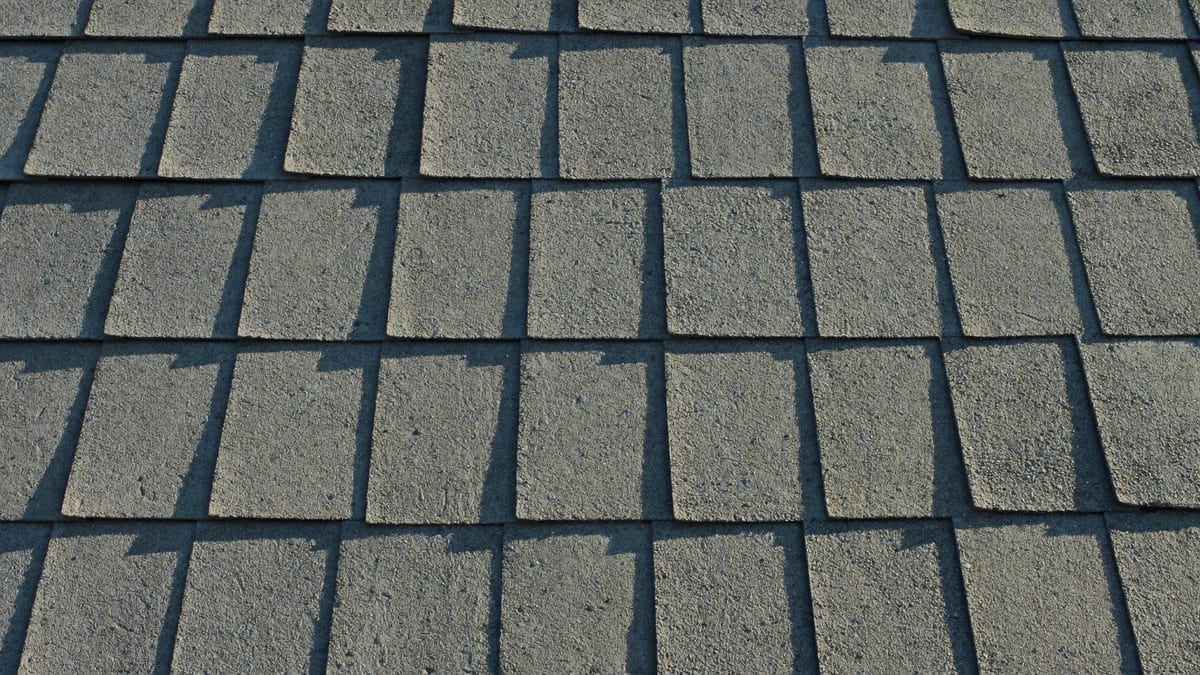 A pitched roof seen against an overcast sky