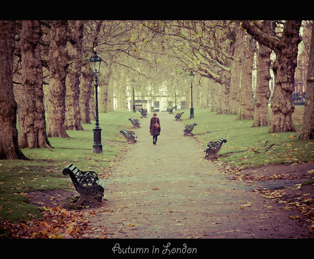 Un parc à l'automne