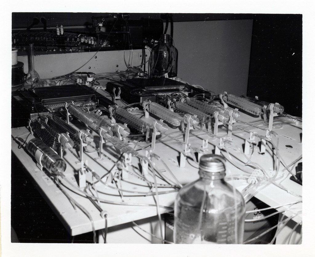 Blood sample tubes in a laboratory